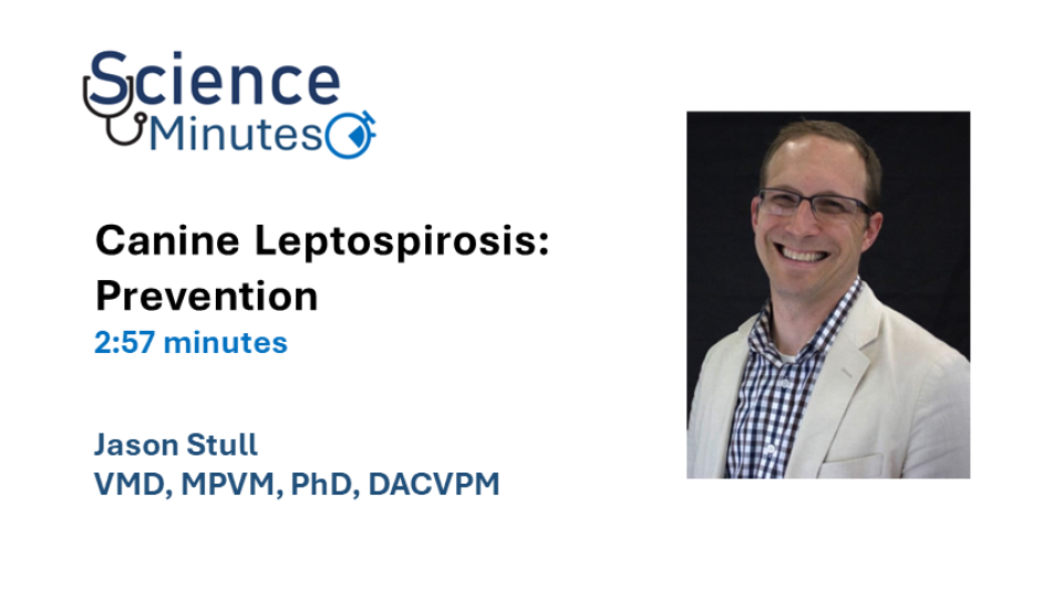 Jason Stull, VMD, MPVM, PhD, DACVPM - Canine Leptospirosis: Prevention