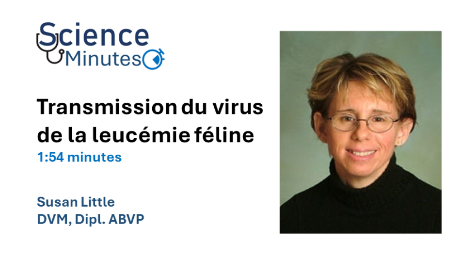 Susan Little, DMV, Dipl. ABVP - Transmission du virus de la leucémie féline